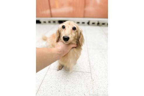 ウインザーくん1枚目